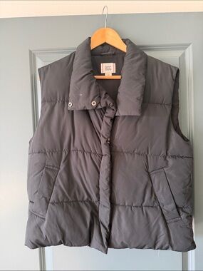 BDG Puffer Vest in Black
